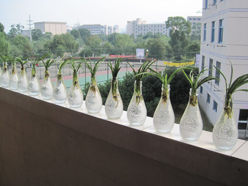 亚洲成人久久寝室设计大赛圆满落幕